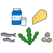 体調がすぐれない…もしかしてミネラル不足かも？🧐